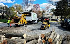 Leaf Removal in Greenfield, IL